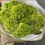 Green Hydrangea Luxe Bouquet