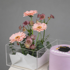 Blush Graduation Bloom & Cake Box