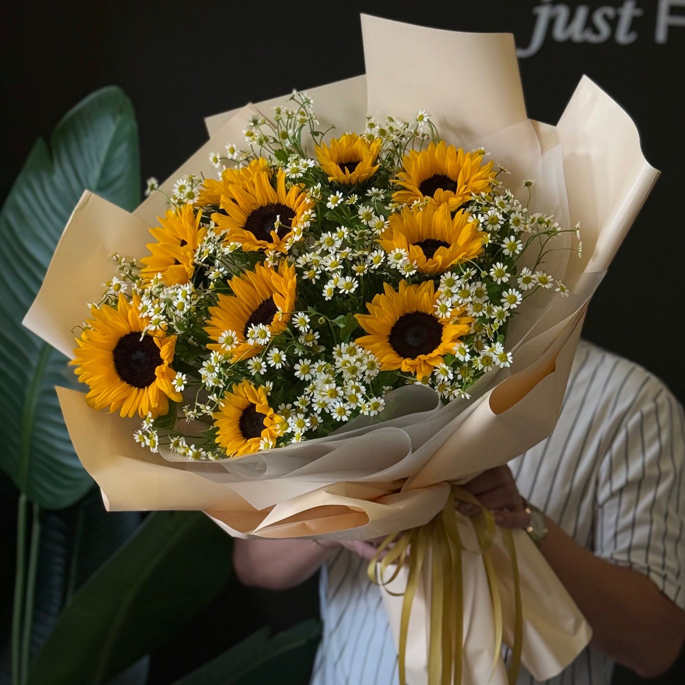 Sunflower Symphony