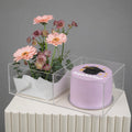 Blush Graduation Bloom & Cake Box