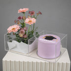 Blush Graduation Bloom & Cake Box