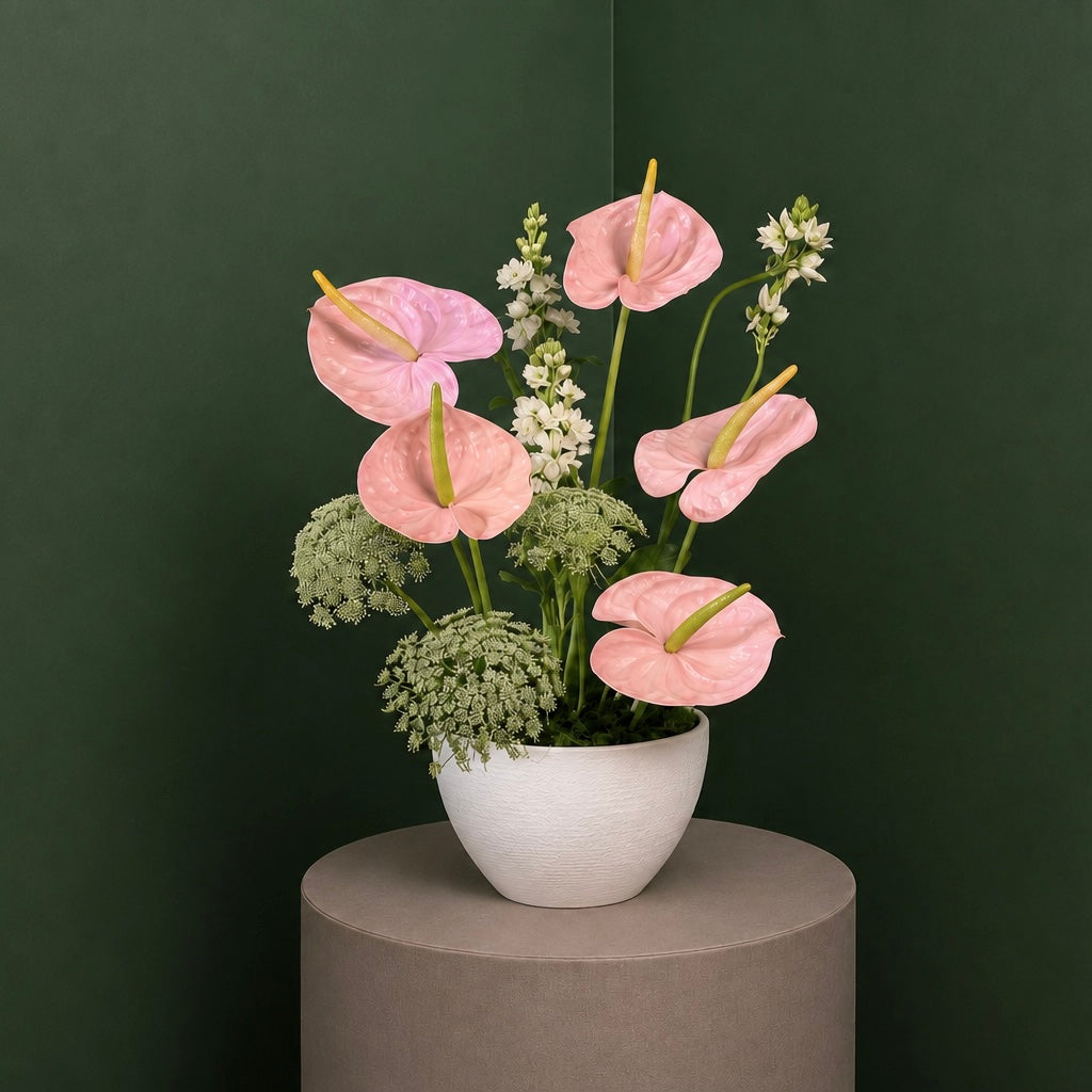 Blush Anthurium Elegance