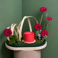 Gerbera Garden With Cake
