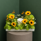 Cake With Blooming Sunshine Tray