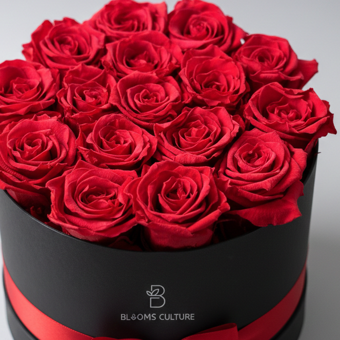 Red Explorer Roses in Black Round Box