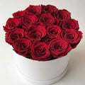 Intense Round Red Premium Roses