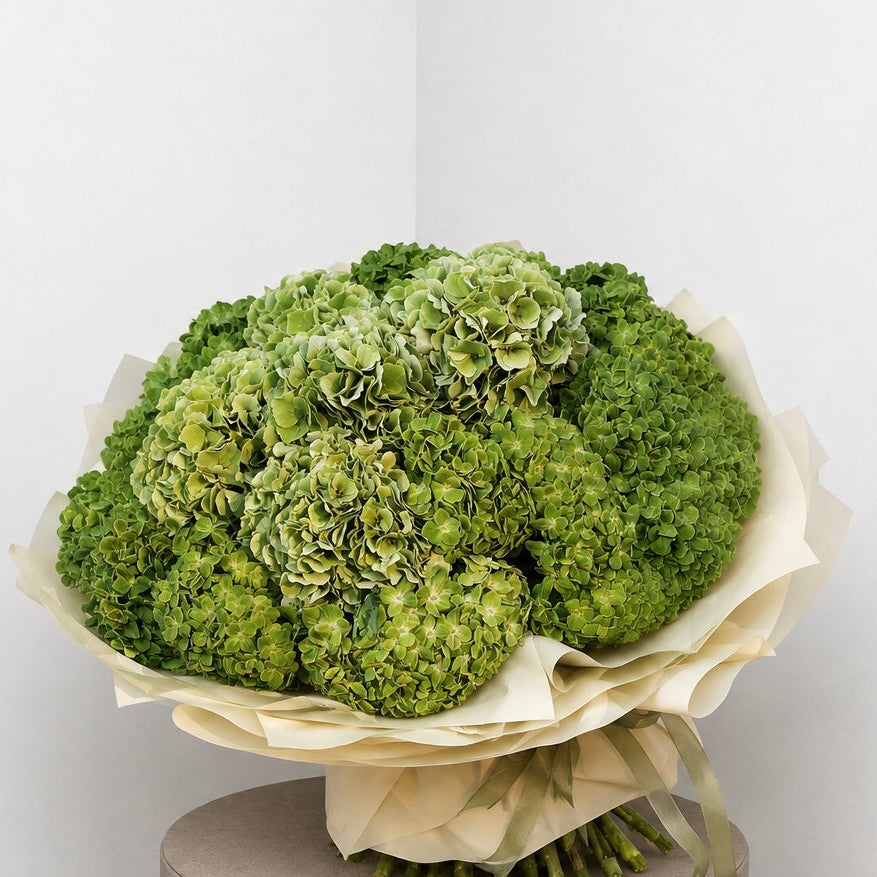 Green Hydrangea Luxury Bouquet