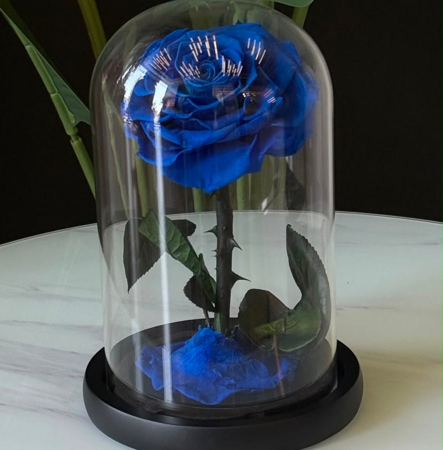 Azure Eternity Forever Rose Dome