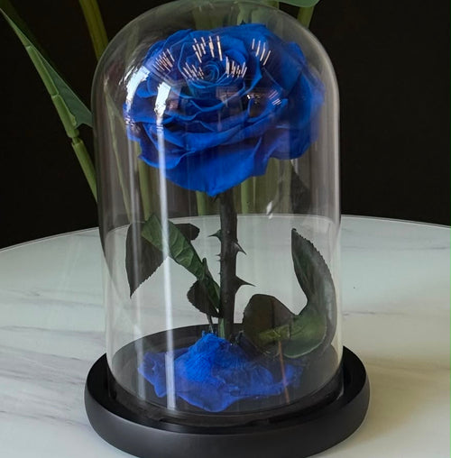Azure Eternity Forever Rose Dome