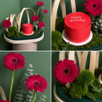 Gerbera Garden With Cake