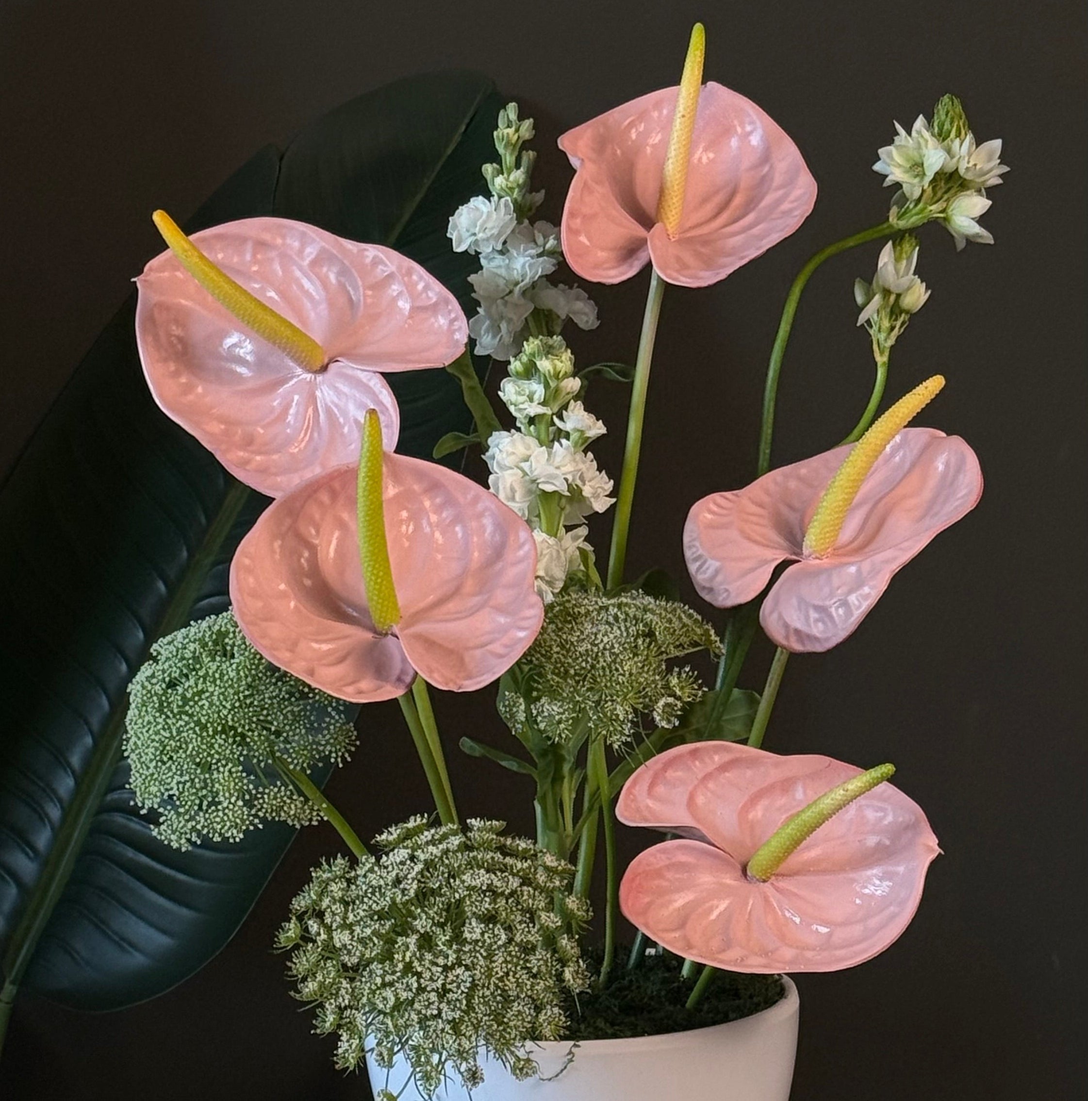 Blush Anthurium Elegance