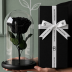 Midnight Eternity Forever Rose Dome