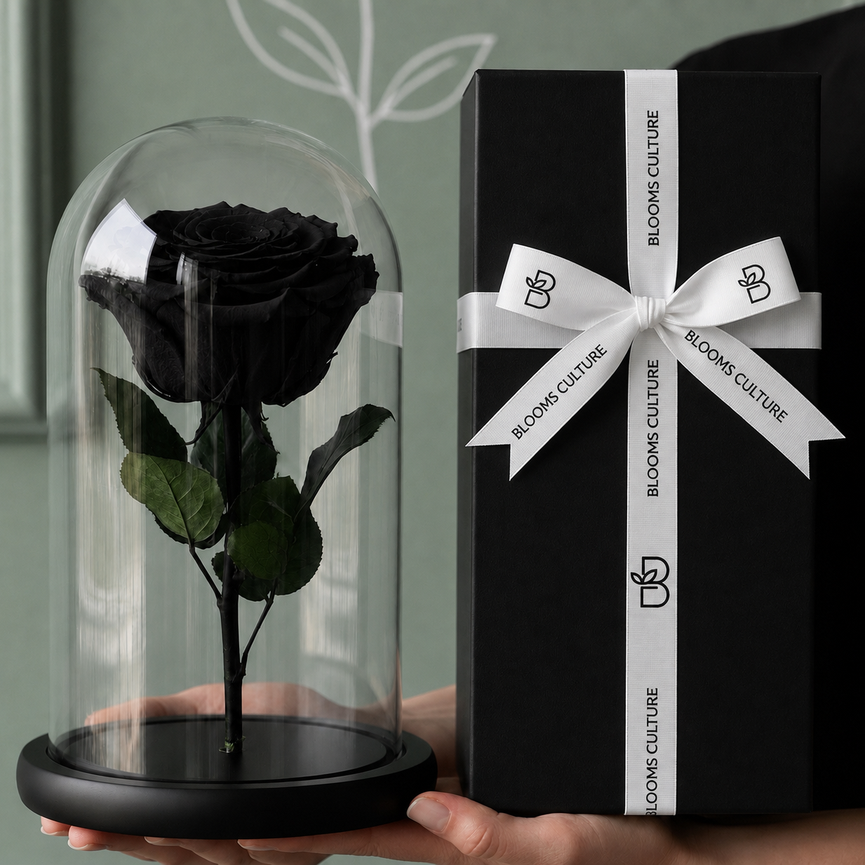 Midnight Eternity Forever Rose Dome