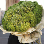 Green Hydrangea Luxury Bouquet