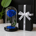 Azure Eternity Forever Rose Dome