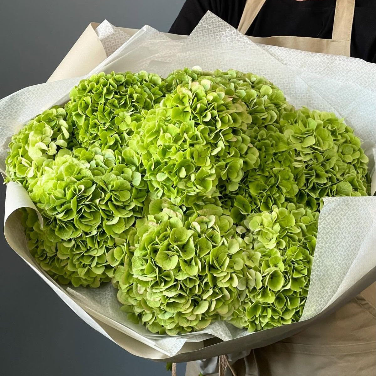 Green Hydrangea Luxe Bouquet