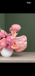 Pink Blush Anthurium & Chrysanthemum Vase