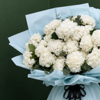 Snow Elegance Hydrangea Bouquet