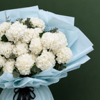 Snow Elegance Hydrangea Bouquet