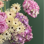 Pastel Grace Bloom Box