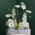 Pure Serenity White Bloom Acrylic Box