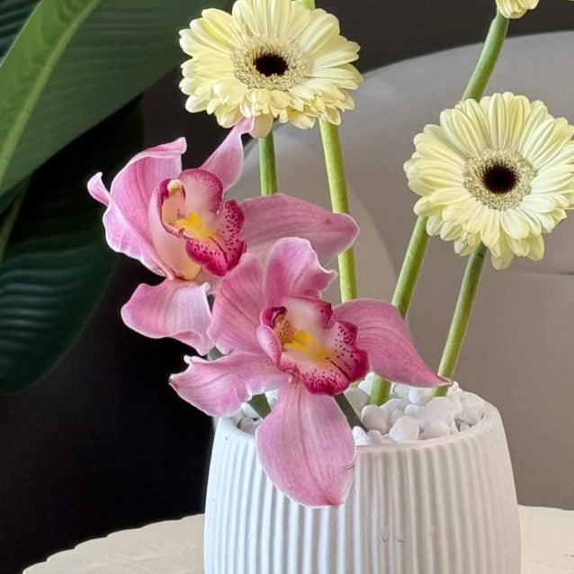 The Serene Orchid & Gerbera Duo
