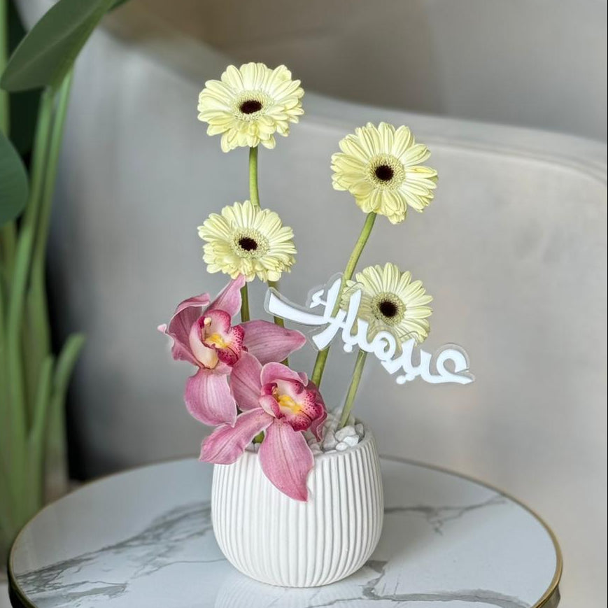 The Serene Orchid & Gerbera Duo