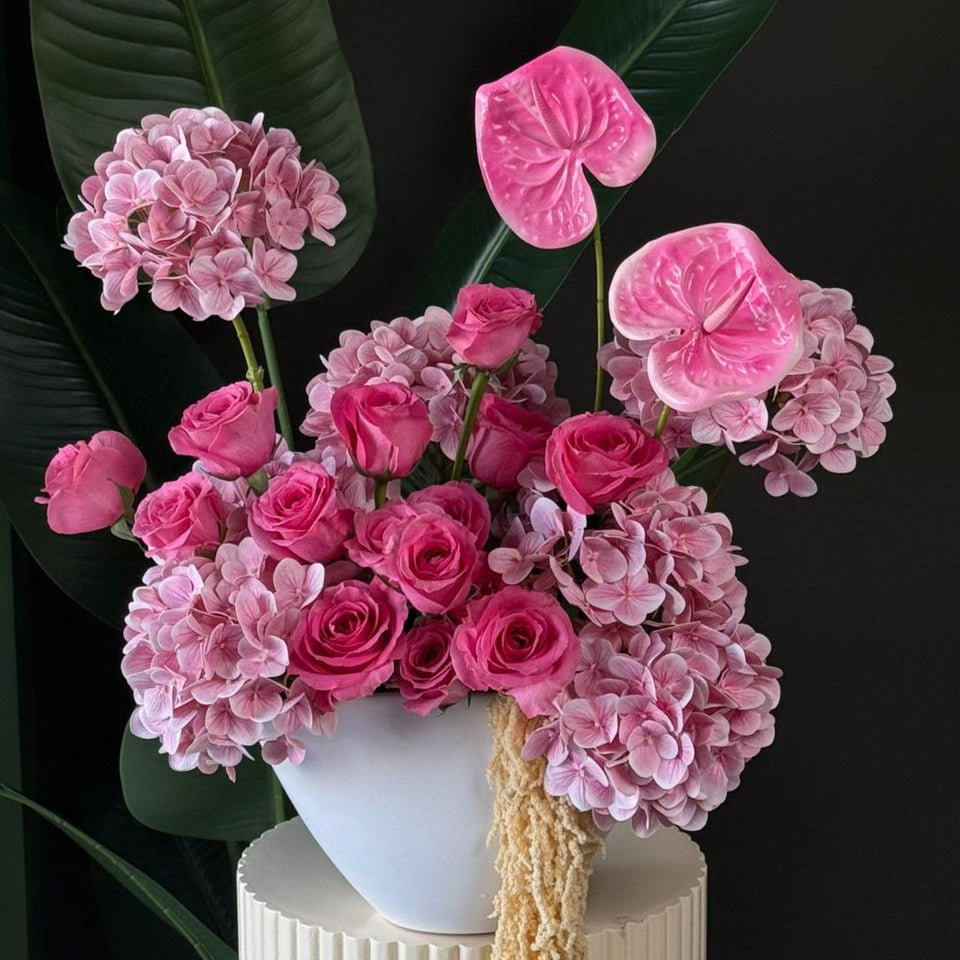 The Pink Velvet Tropics